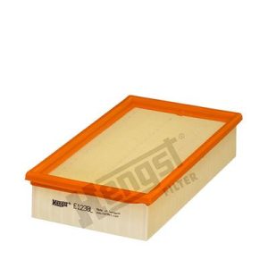 HENGST FILTER E1238L Oro filtras