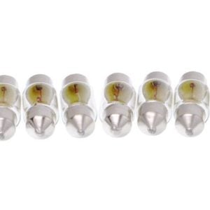 MAXGEAR 78-0123SET Bulb, interior light