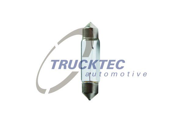 TRUCKTEC AUTOMOTIVE 88.58.011 Lambipirn, numbrimärgituli