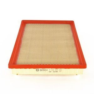 BOSCH F 026 400 266 Oro filtras