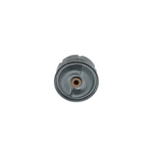 BOSCH F 026 407 099 Oil filter