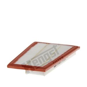 HENGST FILTER E1030L01 Gaisa filtrs