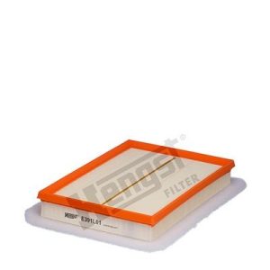 HENGST FILTER E391L01 Oro filtras