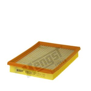 HENGST FILTER E818L Gaisa filtrs