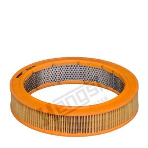 HENGST FILTER E89L Gaisa filtrs