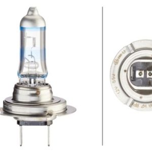 HELLA 8GH 223 498-031 Bulb, floodlight