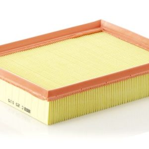 MANN-FILTER C 25 015 Gaisa filtrs