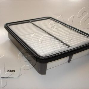 ASHIKA 20-02-250 Air filter