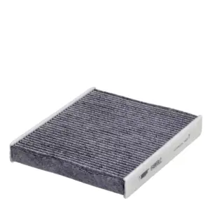 Salono filtras HENGST FILTER E4959LC