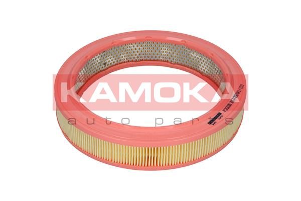 Воздушный фильтр KAMOKA F200301