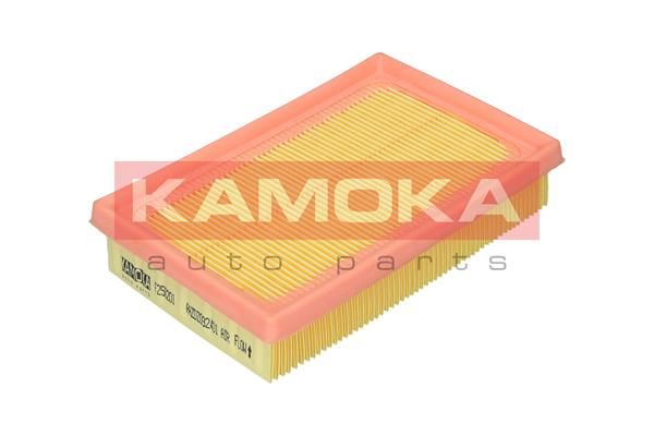 Воздушный фильтр KAMOKA F250201