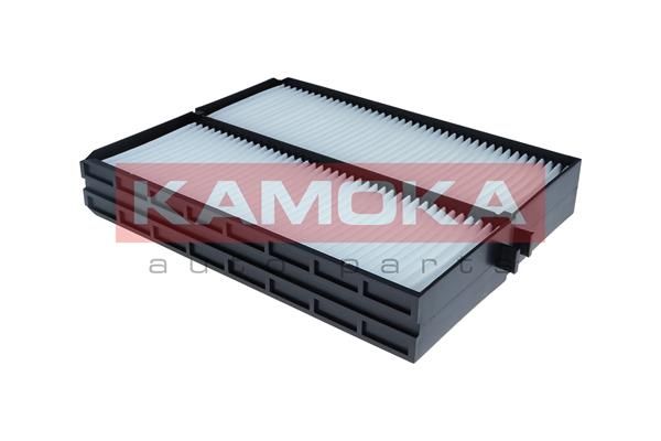 Filtras, salono oras KAMOKA F429501
