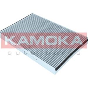 Filtras, salono oras KAMOKA F509001