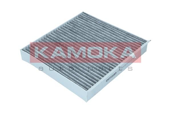 Filtras, salono oras KAMOKA F514501