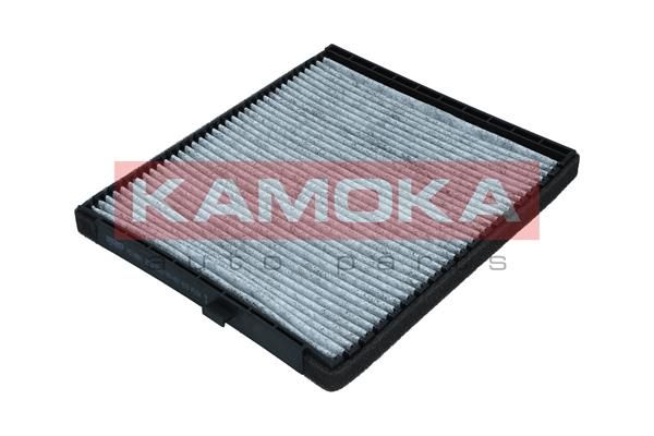 Filtras, salono oras KAMOKA F514801