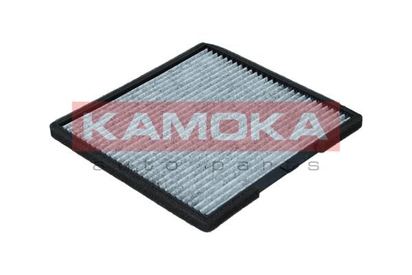 Filtras, salono oras KAMOKA F516201