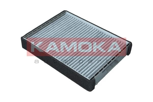 Filtras, salono oras KAMOKA F516901