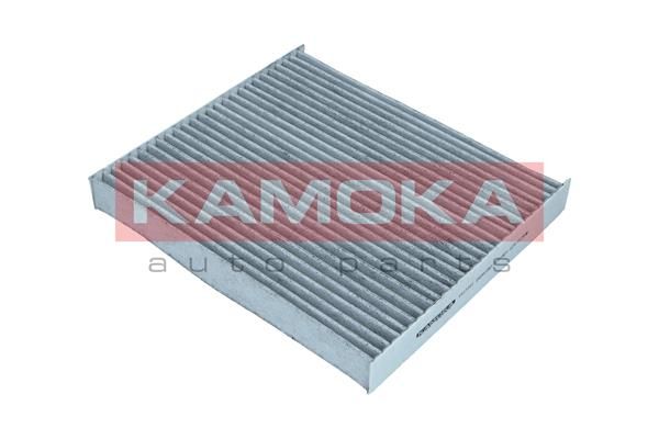 Filtras, salono oras KAMOKA F517701