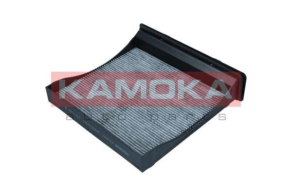 Filtrs, salona gaisa filtrs KAMOKA F519801