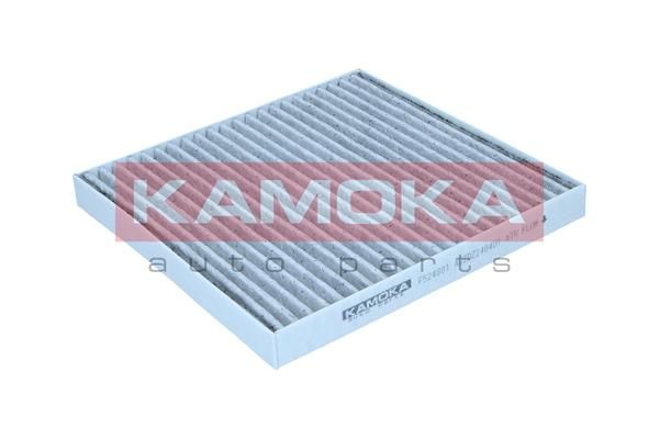 Filtras, salono oras KAMOKA F524801