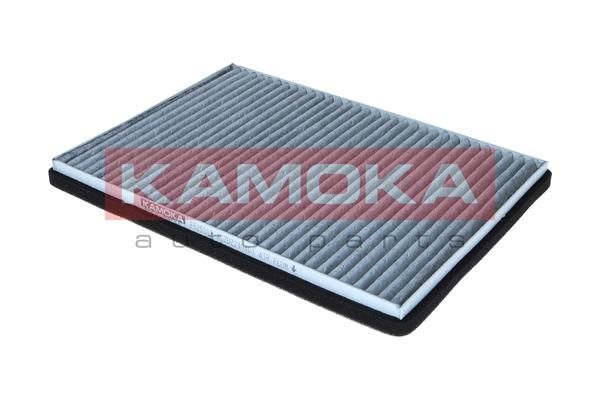 Filtras, salono oras KAMOKA F525301