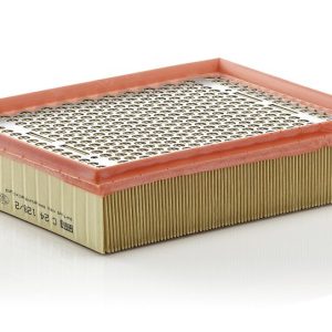 Gaisa filtrs MANN-FILTER C24128/2