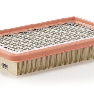 Oro filtras MANN-FILTER C2666