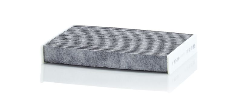 Filtras, salono oras MANN-FILTER CUK25012