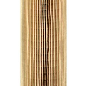 Õlifilter MANN-FILTER HU12110x
