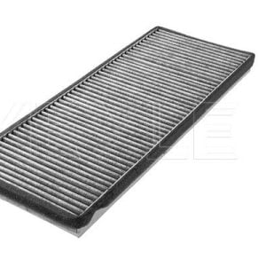 Filtras, salono oras MEYLE 1123200002