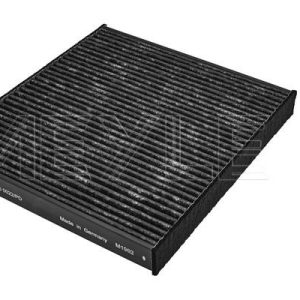 Filtras, salono oras MEYLE 1123260022/PD