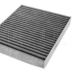 Filtras, salono oras MEYLE 34-123200001