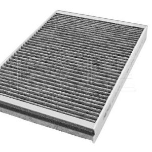 Filtras, salono oras MEYLE 6123200003