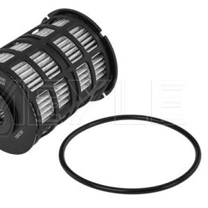 Kütusefilter MEYLE 6143230008