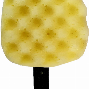 KEMPINĖ SU RANKENA