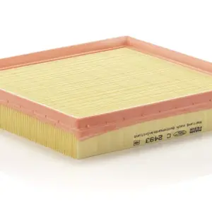 Mann air filter C 2493